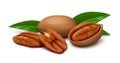 Shelled and unshelled pecan nuts with green leaves on white background